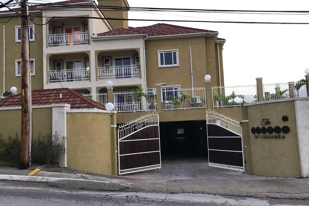 Shan'S Manor.... Excellent Location!!! Kingston Apartment